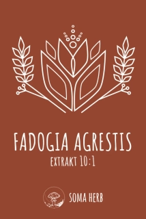 Fadogia agrestis 10:1 extrakt 50 g